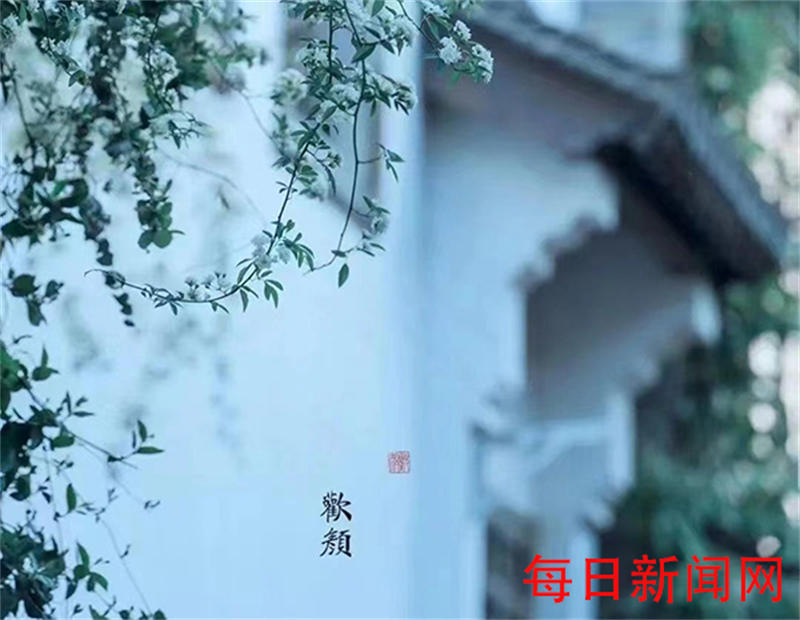 626807b953a15.jpg 4.jpg