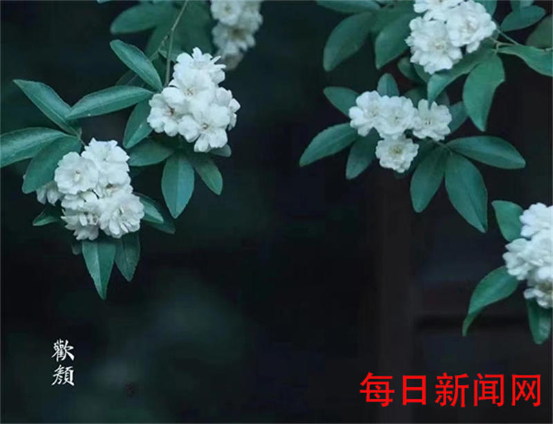 626807e897d59.jpg 2.jpg