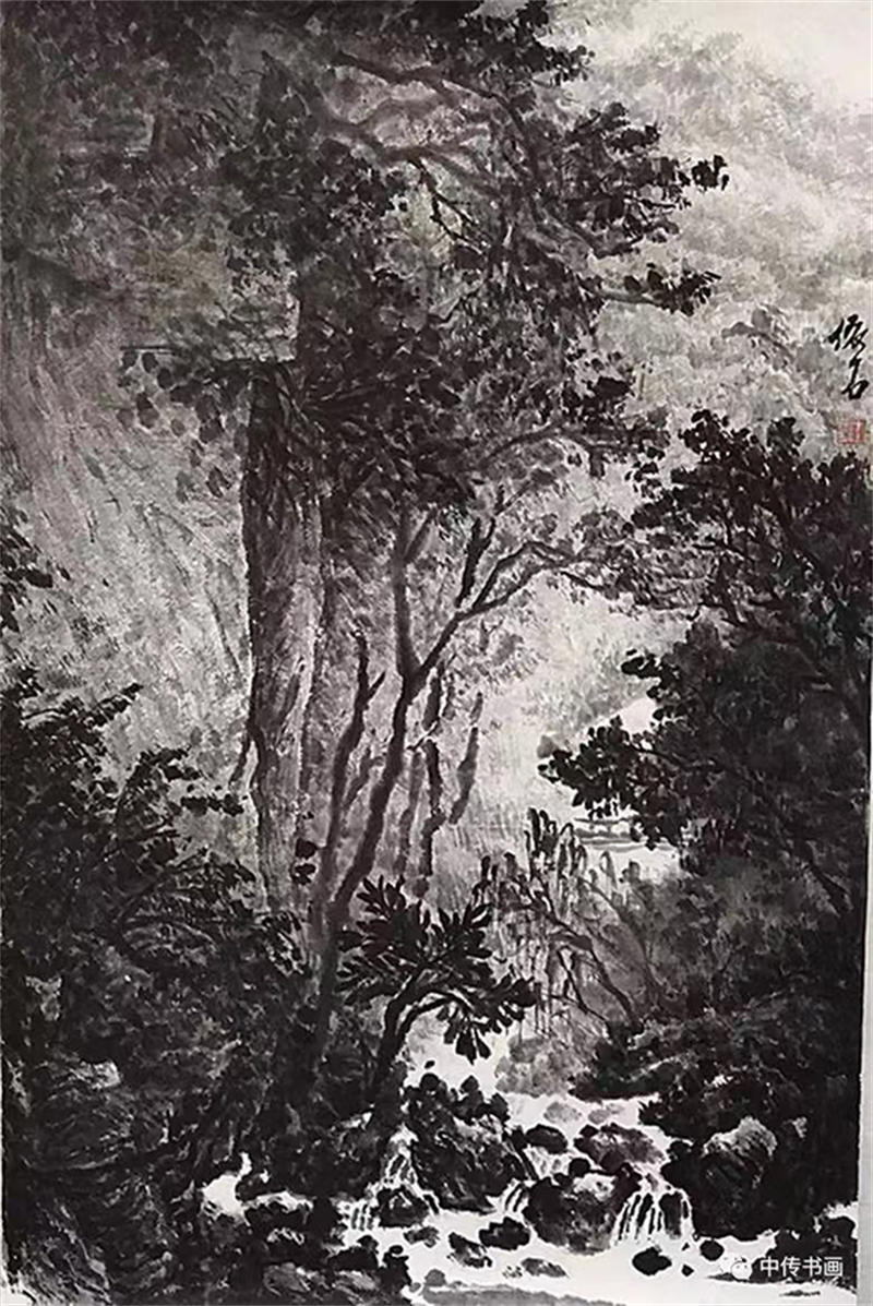 62ad98909968f.jpg 5.jpg