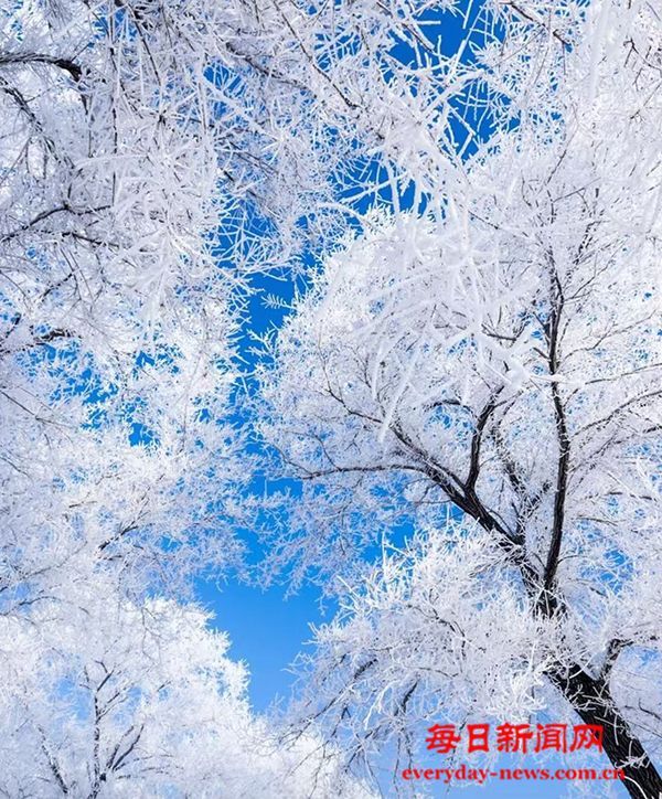 是谁在弹拨我权益背后的的琴弦