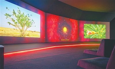 国博新展打开沙特艺术之窗