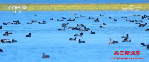 中国成为全球生态文明建设重要参与者、贡献