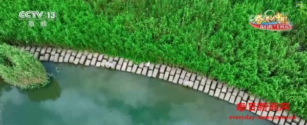 城乡提质“焕新”呈现年轻态 民生幸福“加