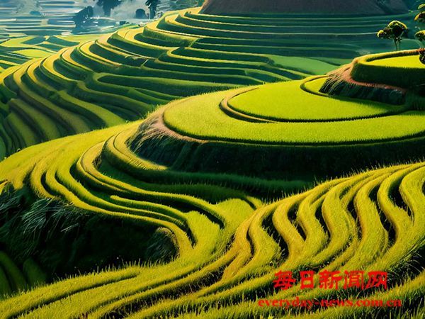 襄阳一企业诉讼期间“腾挪”装修资产 房东