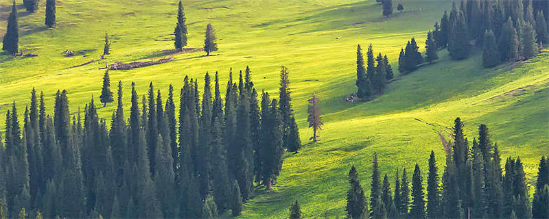中国外交部：借涉疆问题打压遏制中国的图谋