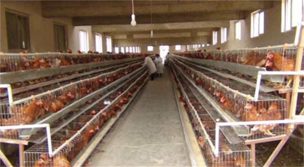 64be6abe90bc7.png 额5555555555555.png