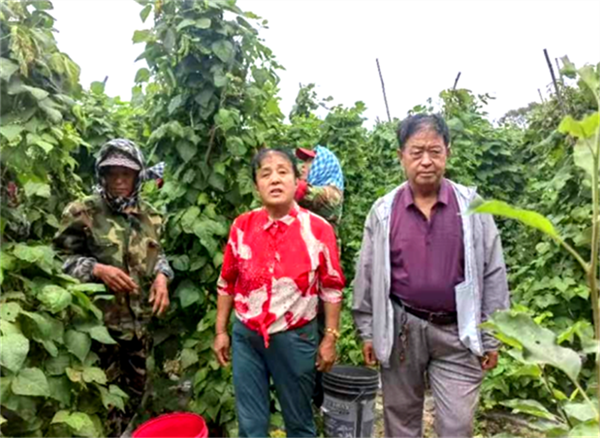 64c3bfd62e856.png 在11111111111111111111.png