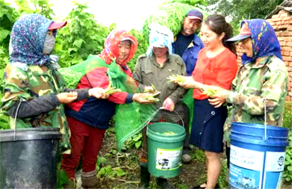 64c3bff696a49.png 在222222222222222222.png