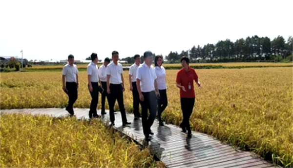 64c3c02af237c.png 在4444444444444444.png