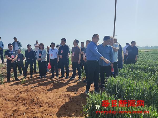 河南省宜阳县高村镇：代表视察话产业  谏