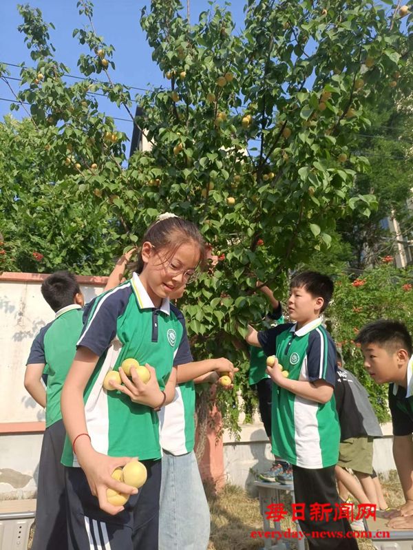 我33333333333.jpg 我33333333333.jpg