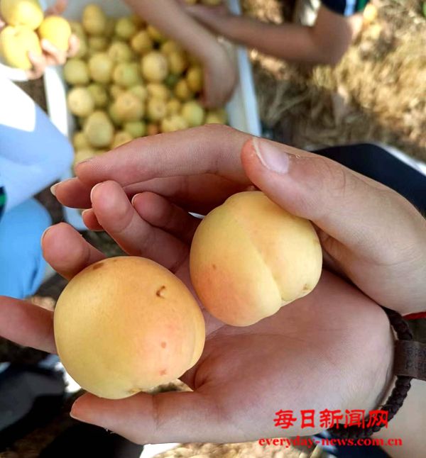 我55555555555.jpg 我55555555555.jpg