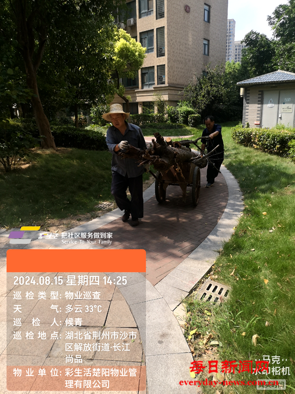 图片21.png 图片21.png