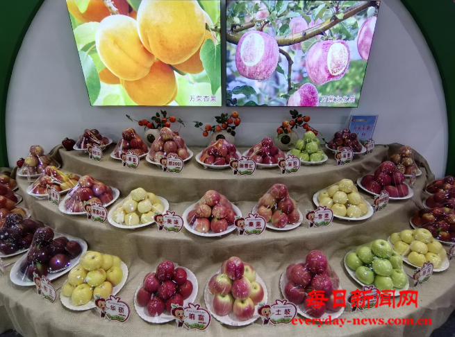 地方4.png 地方4.png