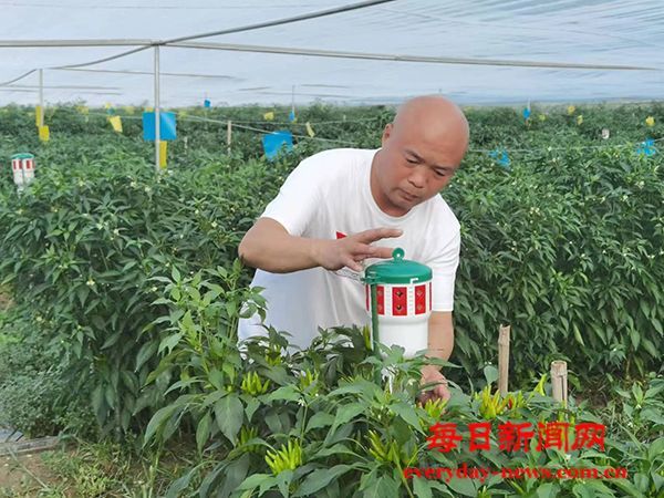 “辣德鲜” 一瓶充满创业激情的鲜椒酱 用