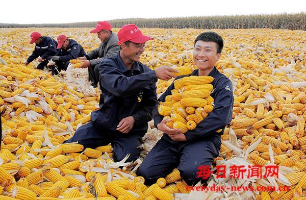 万象“耕”新抢农时 凝心聚力保丰收