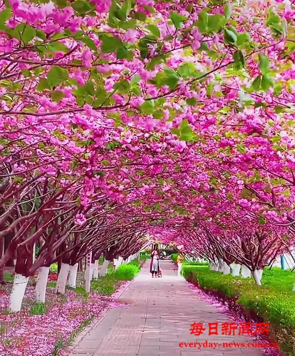 皮肤过敏季来临，专家提示关注皮肤科“一号