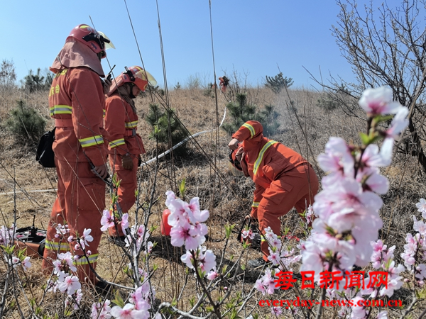 图片8.png 图片8.png