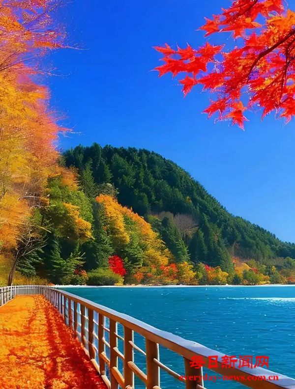 剑阁县武连镇中心卫生院开展5.12国际护