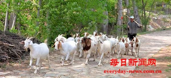 蒙古屯里的秀才村