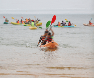 我33333333333333333.png 我33333333333333333.png