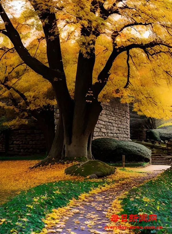 北京市积水潭医院急诊科主任医师赵斌——蛇