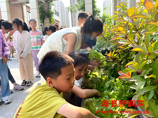 图片1.png 图片1.png