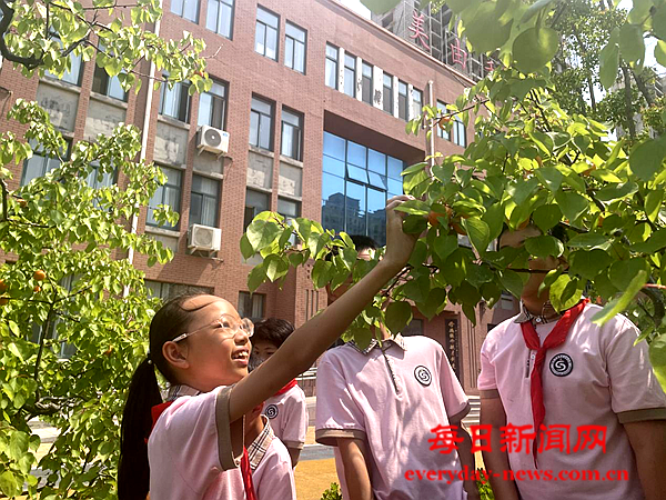 图片8.png 图片8.png