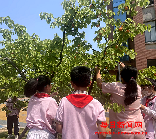 图片9.png 图片9.png