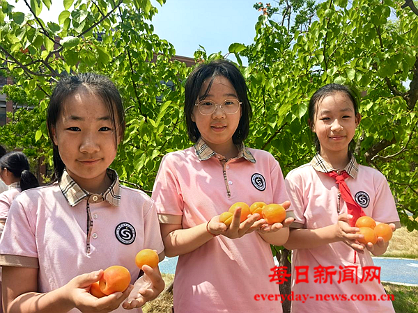 图片10.png 图片10.png