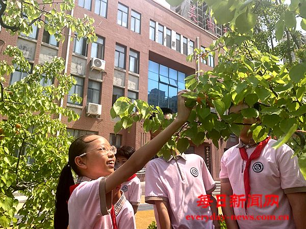 （全环境立德树人）金杏盈枝毕业季 劳动筑