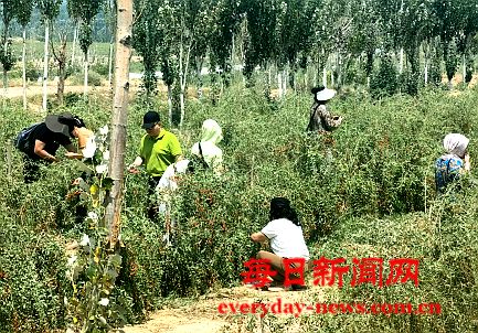 「实地考察，共谋发展」——北广企业代表团