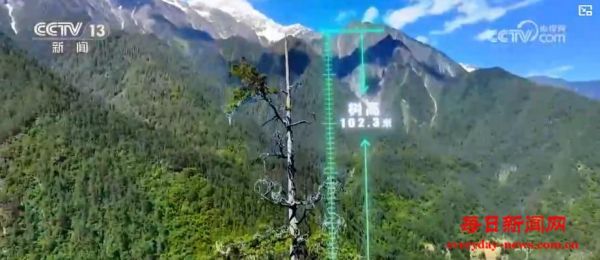 感知生态之变丨绿墨泼染中华大地 我国成为