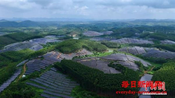 （乡村行·看振兴）广西崇左阳光下的“绿色