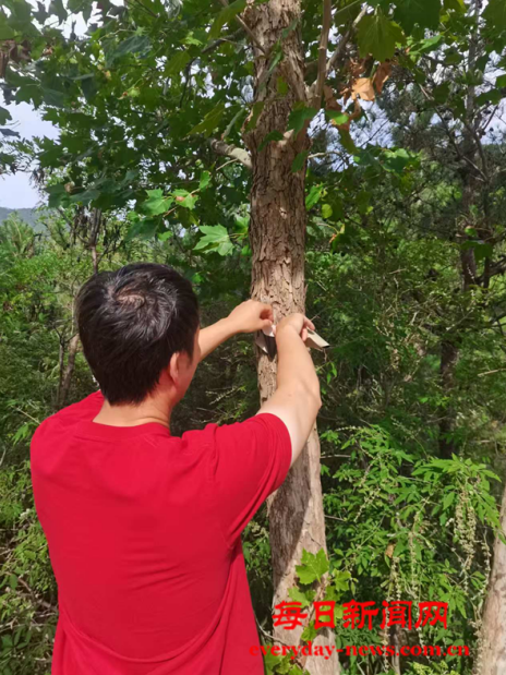 全球1111111111111111.png 全球1111111111111111.png