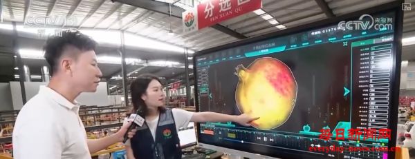 “甜蜜产业”出海“闯世界”圈粉无数 透过