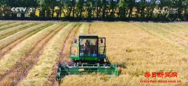 金秋好“丰”景有“智”又有“质” “智慧