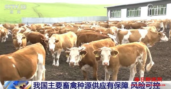 “数”说我国主要畜禽种源供应有保障、风险