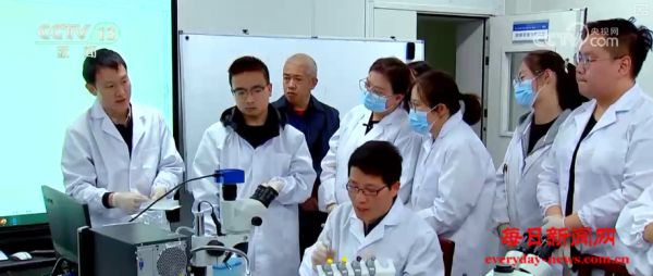 重大品种、先进农机接连突破上“新” 农业