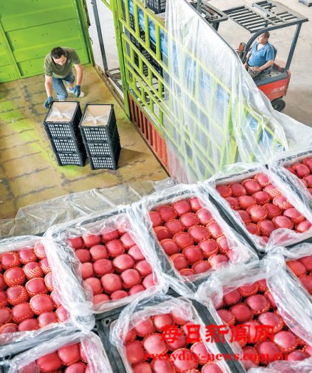 万荣苹果凭啥“出圈”