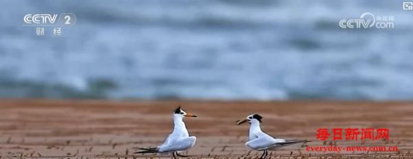 珍稀鸟类引客来 特色生态旅游热催生多元消