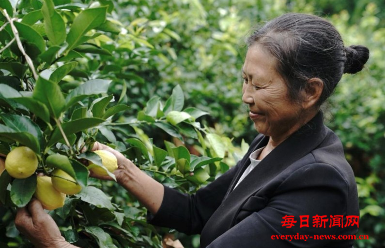 去22222222222222.png 去22222222222222.png