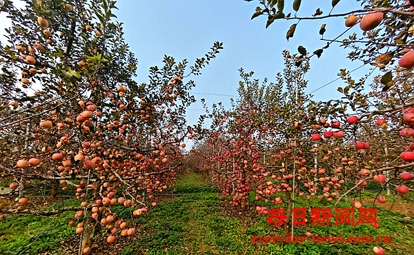 问问222222222222222.png 问问222222222222222.png