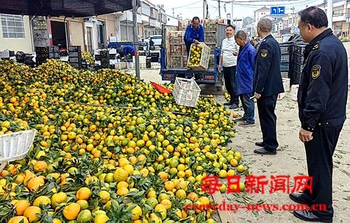 市监“搭台”柑橘“唱戏”——湖北省公安县