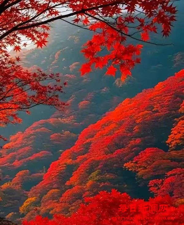 政策红利就位！“破壁垒、降门槛”民间投资