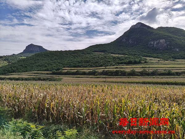 辽宁凌源市两任财政局长行贿受贿案，看政治